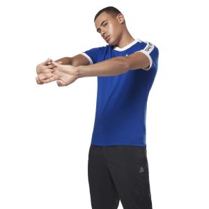 Koszulki Męskie Reebok Training Essentials Linear Logo Niebieskie PL 10ZTAPG